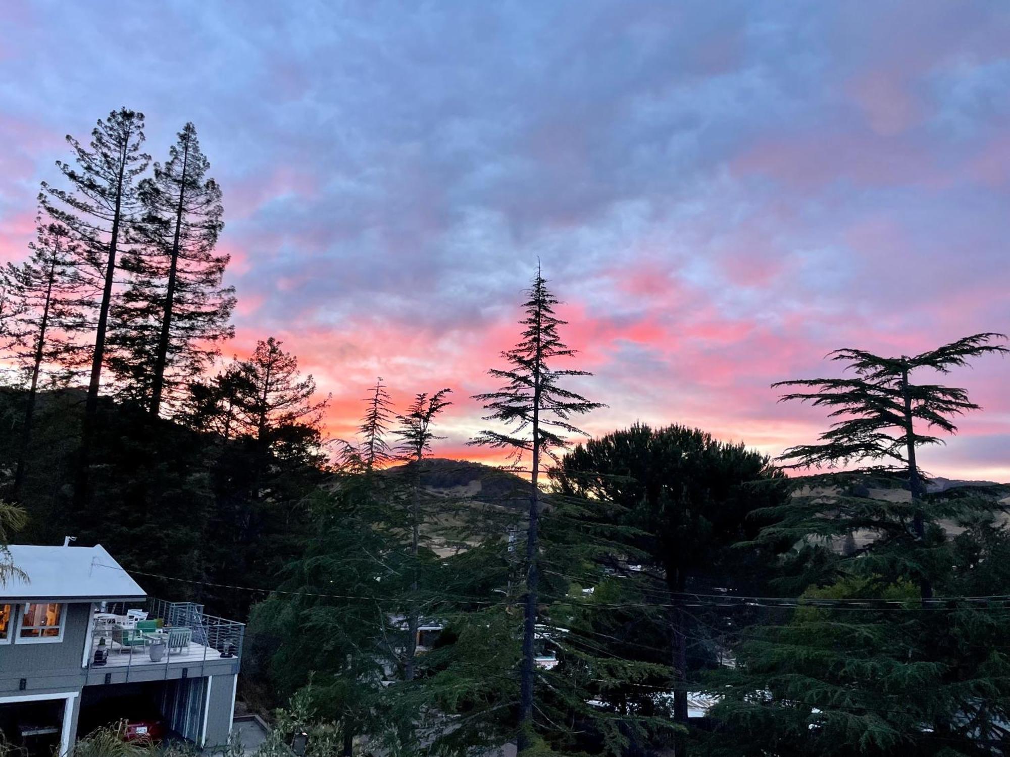Luxury Suite With Views - San Rafael, Gateway To Sf & Wine Country Exterior foto